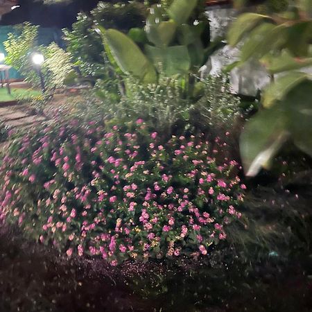 Casetta Bianca Palermo Dış mekan fotoğraf
